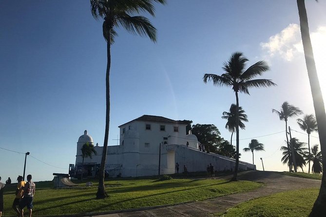 Panoramic City Tour - Half Day in Salvador - Itinerary Highlights