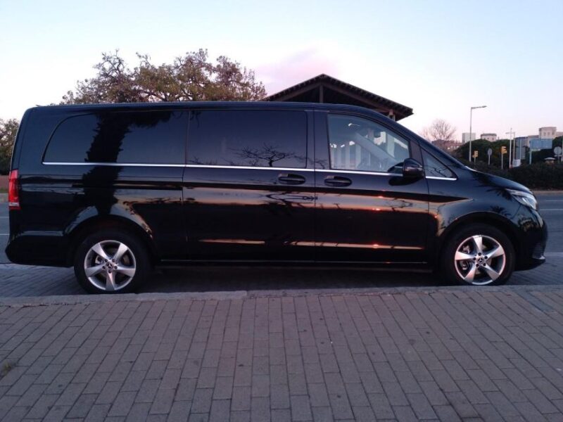 PANORAMIC CITY TOUR WITH DRIVER GUIDE - Transportation Options