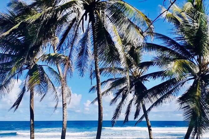 Panoramic Coastal Barbados Tour - Booking Your Stay