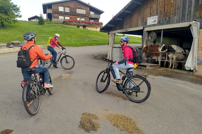 Panoramic E-Bike Tour With a Lake Cruise - Traveler Feedback