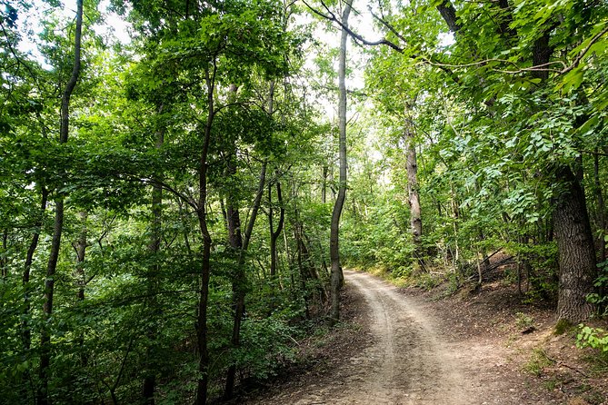 Panoramic Hike Around Budapest - Moderate Fitness Requirements