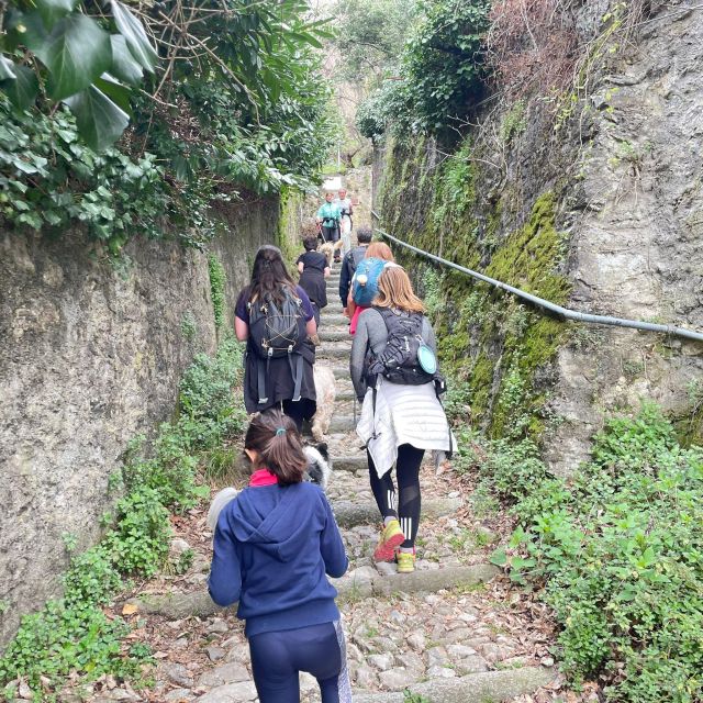 Panoramic Hike Como to Brunate: Lunch With Breathtaking View - Important Information