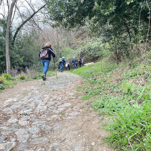 Panoramic Hike Como to Brunate: Lunch With Breathtaking View - Customer Feedback
