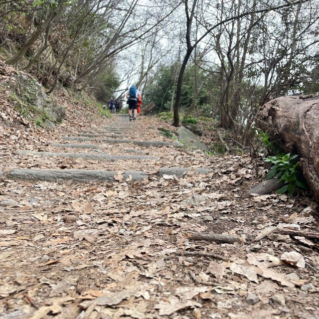 Panoramic Hike Como to Brunate: Lunch With Breathtaking View - Frequently Asked Questions