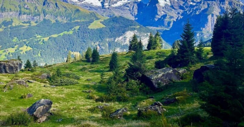 Panoramic Hiking Tour Above Lauterbrunnen Valley From Zurich - Key Points