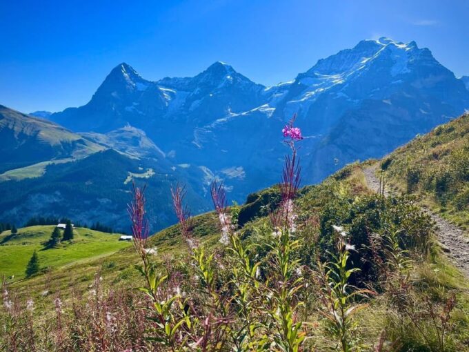 Panoramic Hiking Tour Above Lauterbrunnen Valley From Zurich - Scenic Drive to Lauterbrunnen