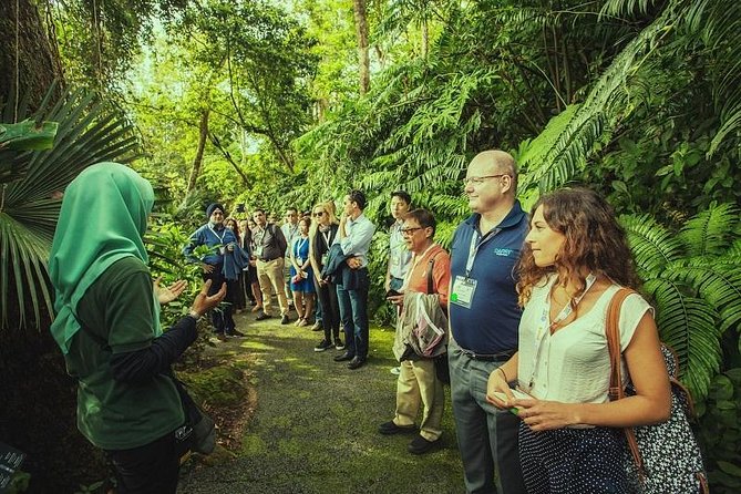 Panoramic Penang Hill & The Habitat Nature Discovery - Overview and Experience