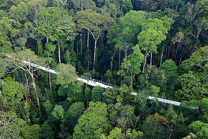 Panoramic Penang Hill & The Habitat Nature Discovery - Inclusions and Exclusions