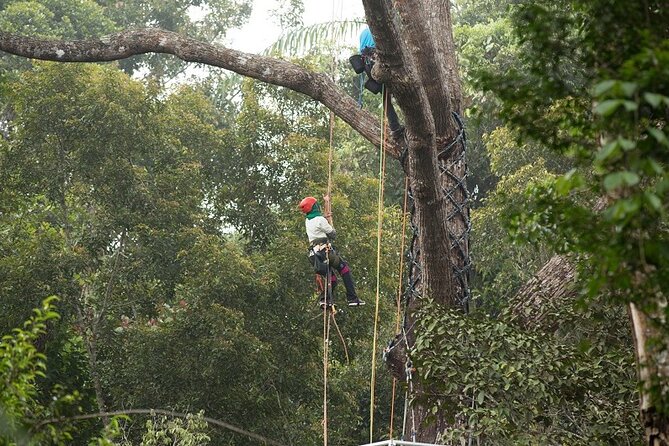 Panoramic Penang Hill & The Habitat Nature Discovery - Habitat Penang Guided Tour