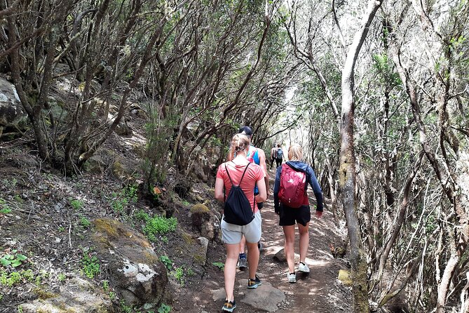 Panoramic Route Across the Teno Rural Park in Tenerife - Participant Requirements and Recommendations