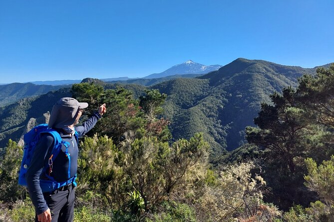 Panoramic Route Across the Teno Rural Park in Tenerife - Weather and Environmental Considerations