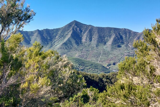 Panoramic Route Across the Teno Rural Park in Tenerife - Reviews and Ratings