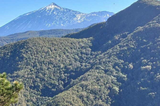 Panoramic Route Across the Teno Rural Park in Tenerife - Exploring Volcanic Terrain and Lush Forests