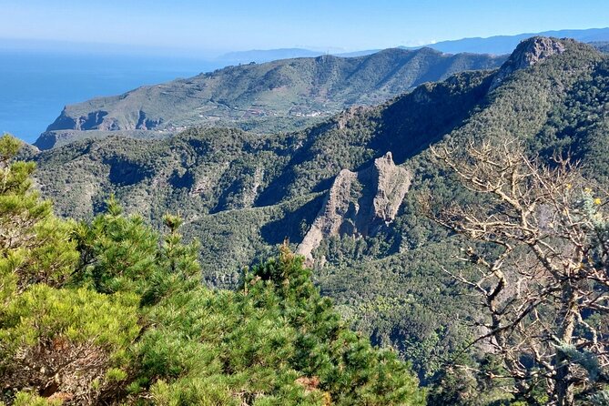 Panoramic Route Across the Teno Rural Park in Tenerife - Savoring Local Flavors and Island Secrets