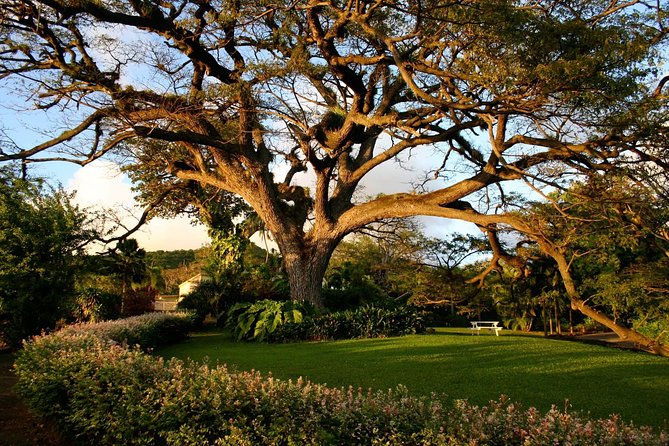 Panoramic Sightseeing Tour of St Kitts - Accessibility and Accommodations