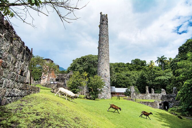 Panoramic Sightseeing Tour of St Kitts - Pricing and Cancellation Policy