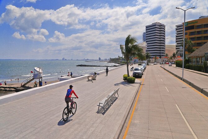 Panoramic Sightseeing Tour of Veracruz - Reviews Summary