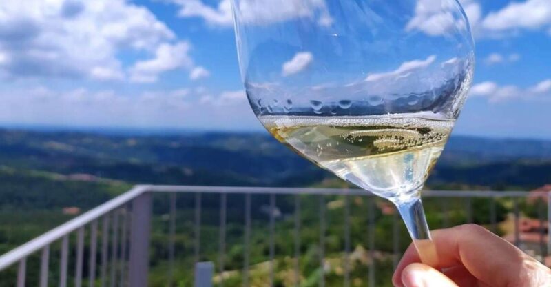 Panoramic Sightseeing Tour With Aperitivo - Experience Highlights