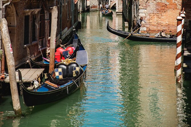 Panoramic Tour of Venice and Murano by Boat - Pricing and Booking
