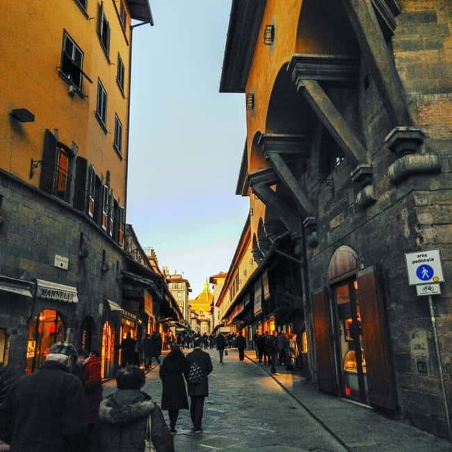 Panoramic Walking Tour in Florence With Vincenzo - Professional Guide and Historical Insights