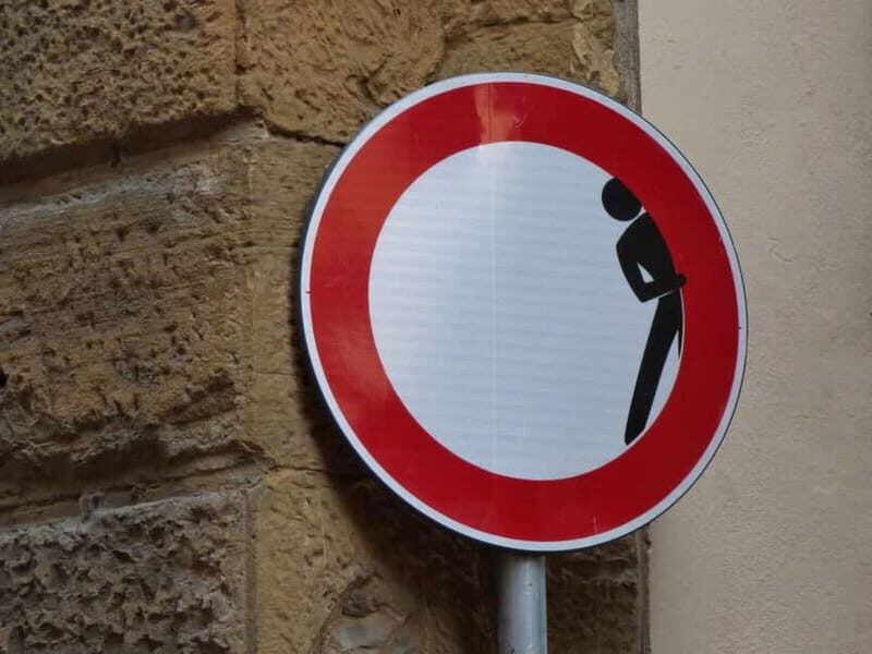 Panoramic Walking Tour in Florence With Vincenzo - Important Considerations