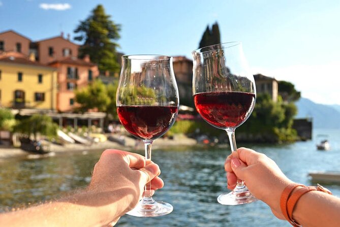 Panoramic Wine Tasting in Bellagio Area - Key Points