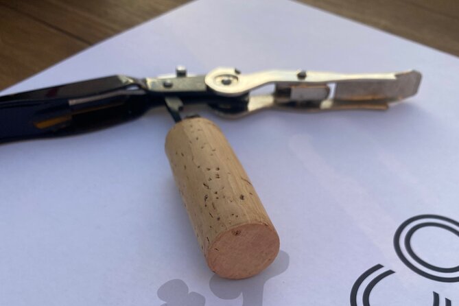 Panoramic Wine Tasting in Oltrepò Pavese - Uncovering the Regions Unique Terroir
