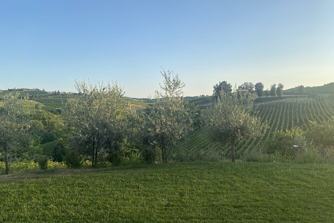 Panoramic Wine Tasting in Oltrepò Pavese - Accessibility and Booking Flexibility