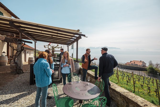 Panoramic Wine Tour From Lausanne - Experience Highlights