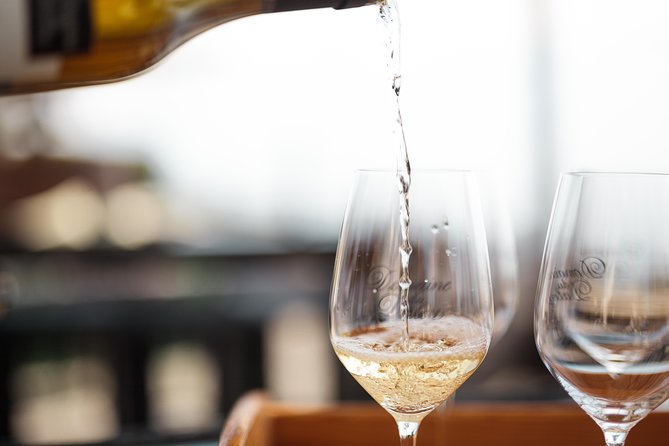 Panoramic Wine Tour From Lausanne - Scenic Vistas of Lavaux