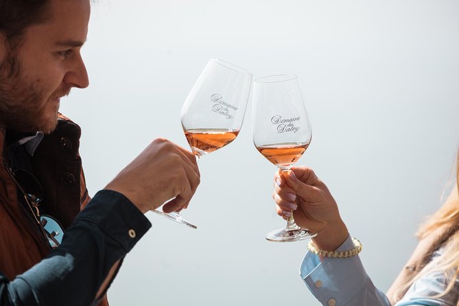 Panoramic Wine Tour From Lausanne - Guest Feedback