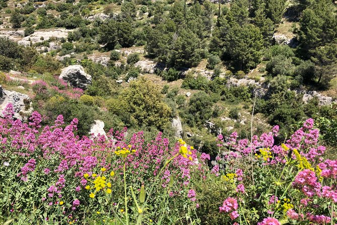 Pantalica Nature Reserve Walking Tour - Natural Beauty and Landscape of the Reserve