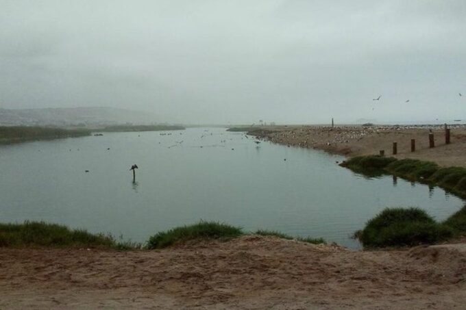 Pantanos De Villa Wildlife Refuge Tour in Lima - Booking and Cancellation Policy