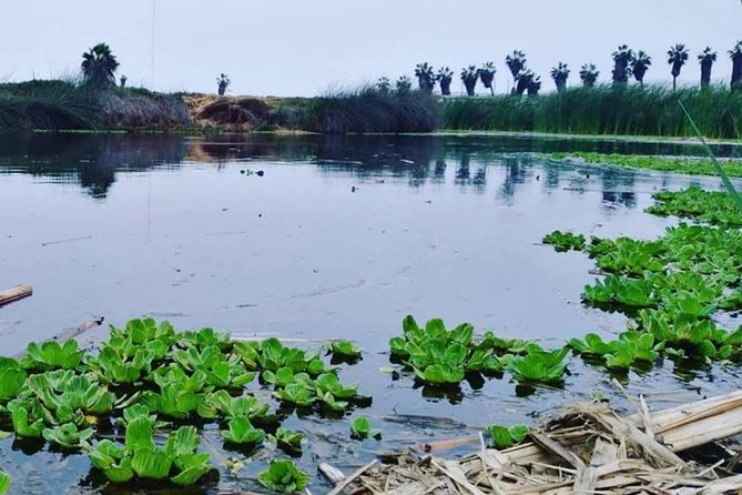 Pantanos De Villa Wildlife Refuge Tour in Lima - Coastal Wildlife to Explore