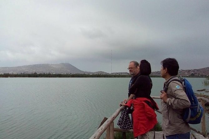 Pantanos De Villa Wildlife Refuge Tour in Lima - Accessibility and Convenience