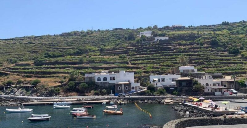 Pantelleria: Mediterranean Flavors Food and Wine Tour - Discovering Pantellerias Winemaking Heritage