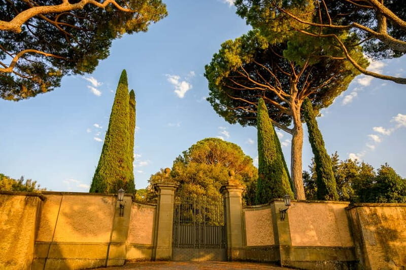 Papal Palace & Secret Garden Ticket & Audioguide - Meeting Point Details
