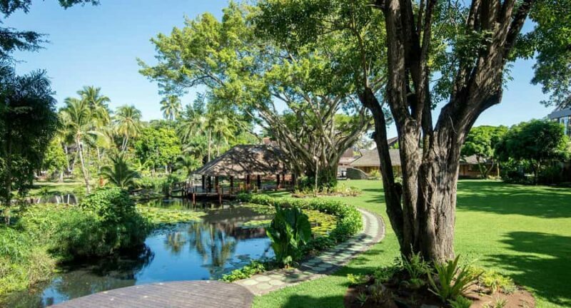 Papeete : walking tour - Discovering Papeete: What to Expect from the Tour