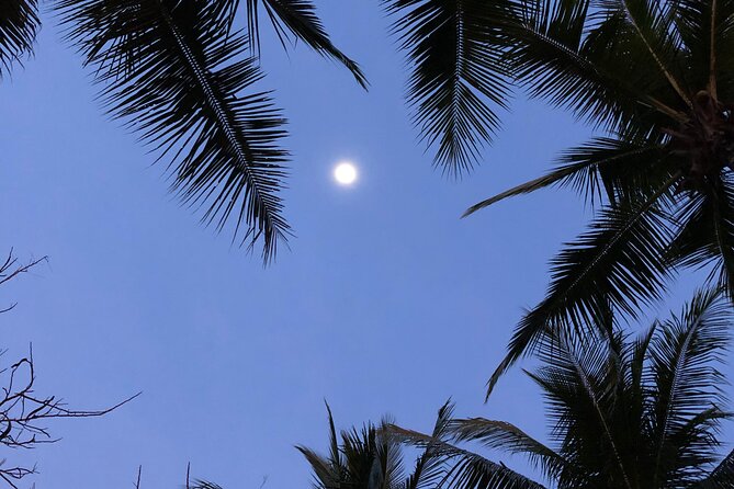 Paquera Sunset and Full Moon Kayak Tour - Experience Highlights