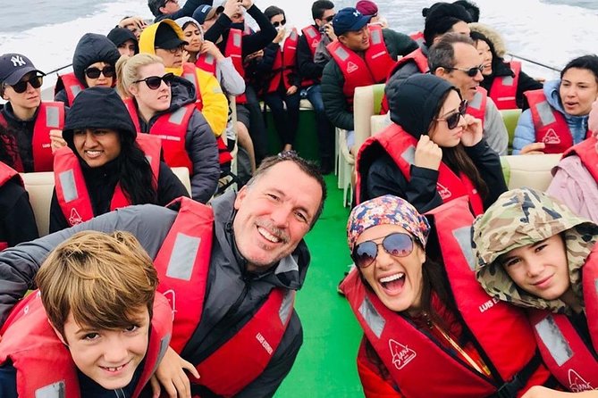 Paracas and Ica Full Day From Lima - Ballestas Islands Boat Journey