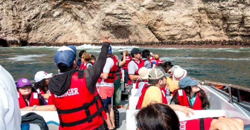 Paracas: Ballestas Islands Boat Ride Tour - Unique Geological Formations