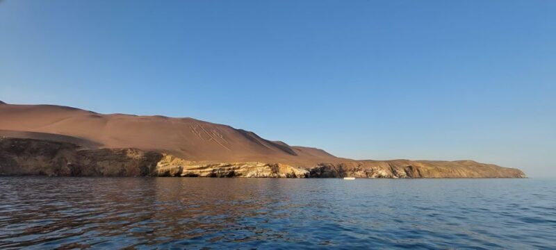 Paracas: Ballestas Islands Guided Boat Tour All Inclusive - Wildlife Viewing Opportunities