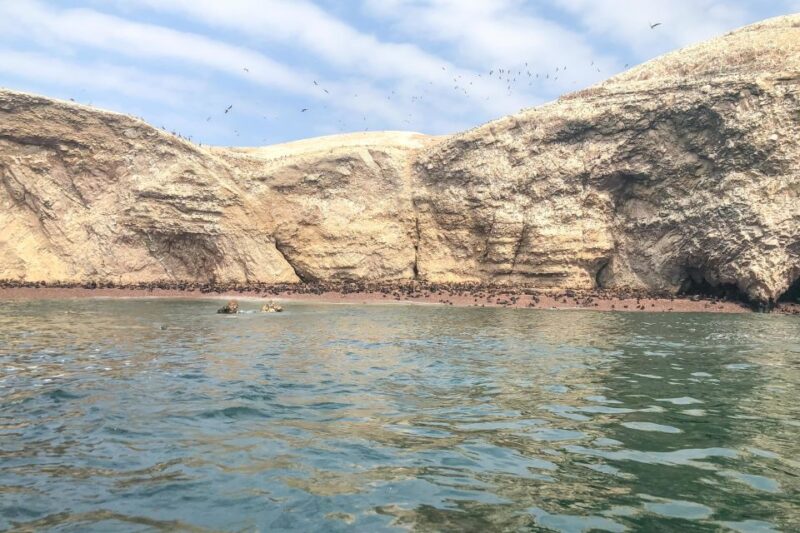 Paracas: Ballestas Islands Morning Boat Tour - Pricing and Cancellation