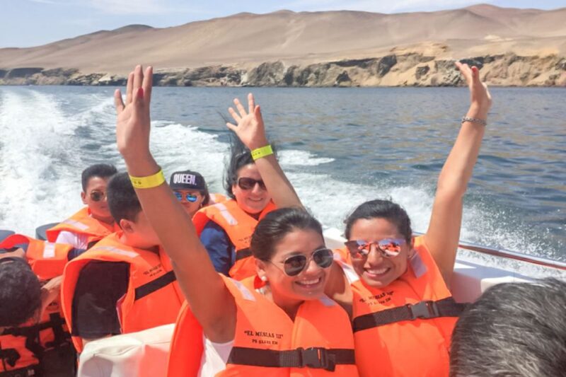 Paracas: Ballestas Islands Morning Boat Tour - Wildlife and Attractions