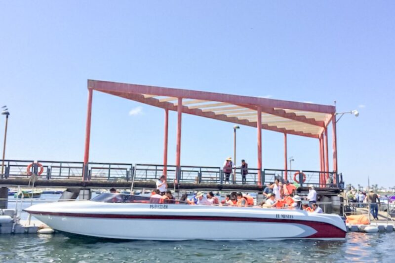 Paracas: Ballestas Islands Morning Boat Tour - Tour Experience