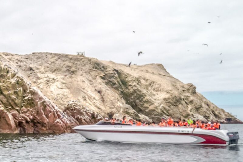 Paracas: Ballestas Islands Morning Boat Tour - Accessibility