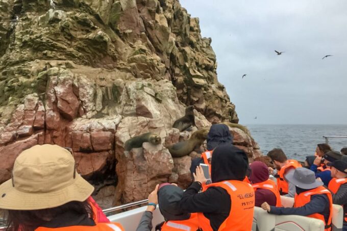 Paracas: Ballestas Islands Morning Boat Tour - What to Bring