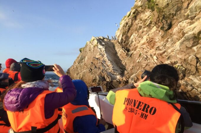 Paracas: Ballestas Islands Morning Boat Tour - Frequently Asked Questions
