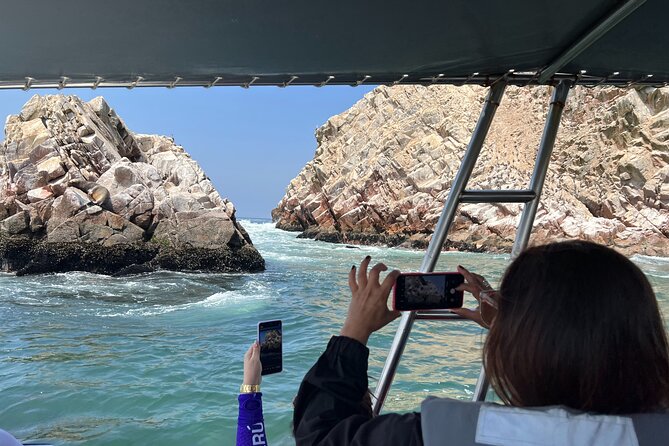 PARACAS! Ballestas Islands + PARACAS National Reserve + Candelabro and Much More - Diverse Marine Wildlife