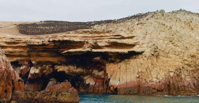 Paracas: Ballestas Islands & Paracas National Reserve - Frequently Asked Questions